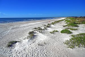 Beach Footprint in the Sand Knit Design Atlantic Beach, FL