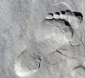 Beach Footprint in the Sand. Faith Connors