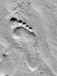 Beach Footprint in the Sand. Faith Connors