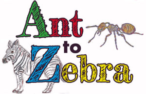 Ant to Zebra book logo